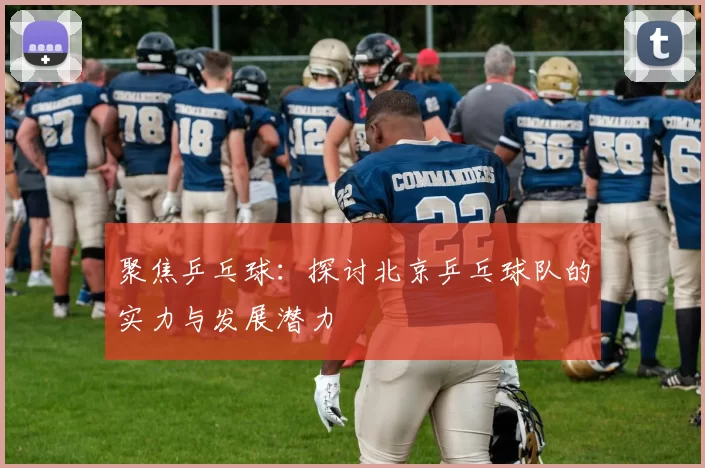 聚焦乒乓球：探讨北京乒乓球队的实力与发展潜力